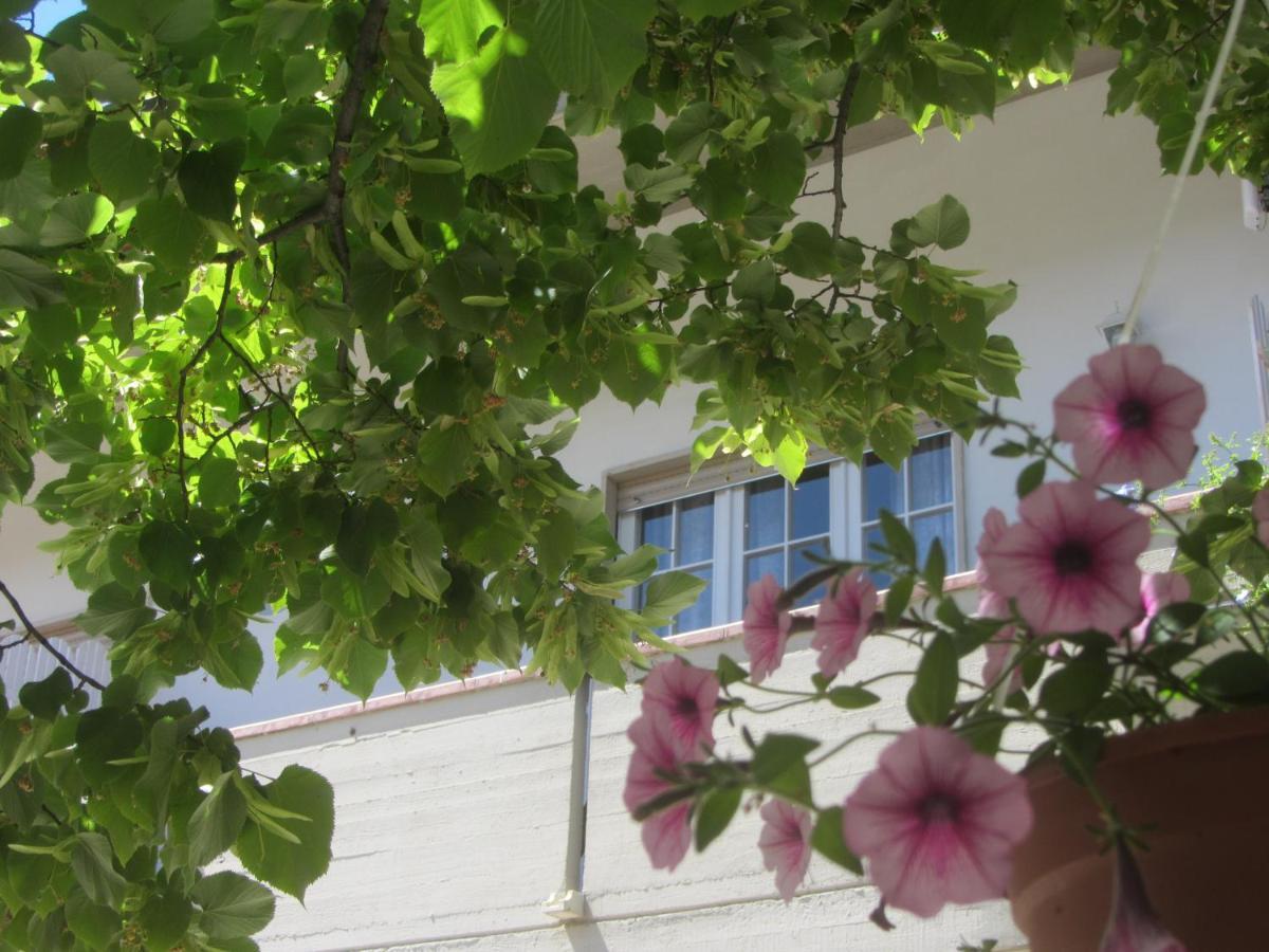 B&B Il Country E Il Mare Martinsicuro Ngoại thất bức ảnh